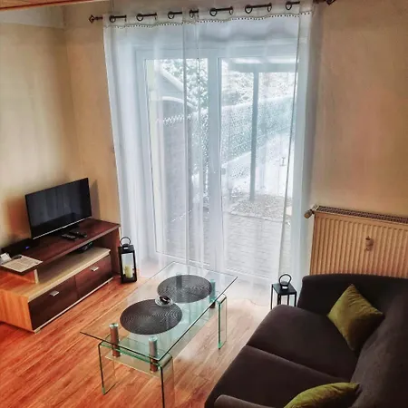 Garden Z Ogrodem I Przyjazne Dla Zwierzat, Lägenhet Racibórz