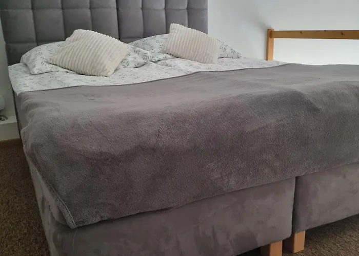 Garden Z Ogrodem I Przyjazne Dla Zwierząt, Apartamento