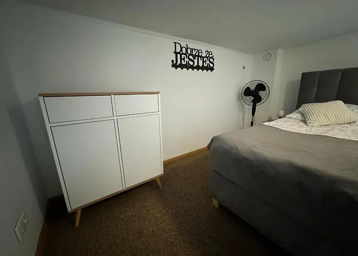 Garden Z Ogrodem I Przyjazne Dla Zwierzat, Lägenhet Racibórz